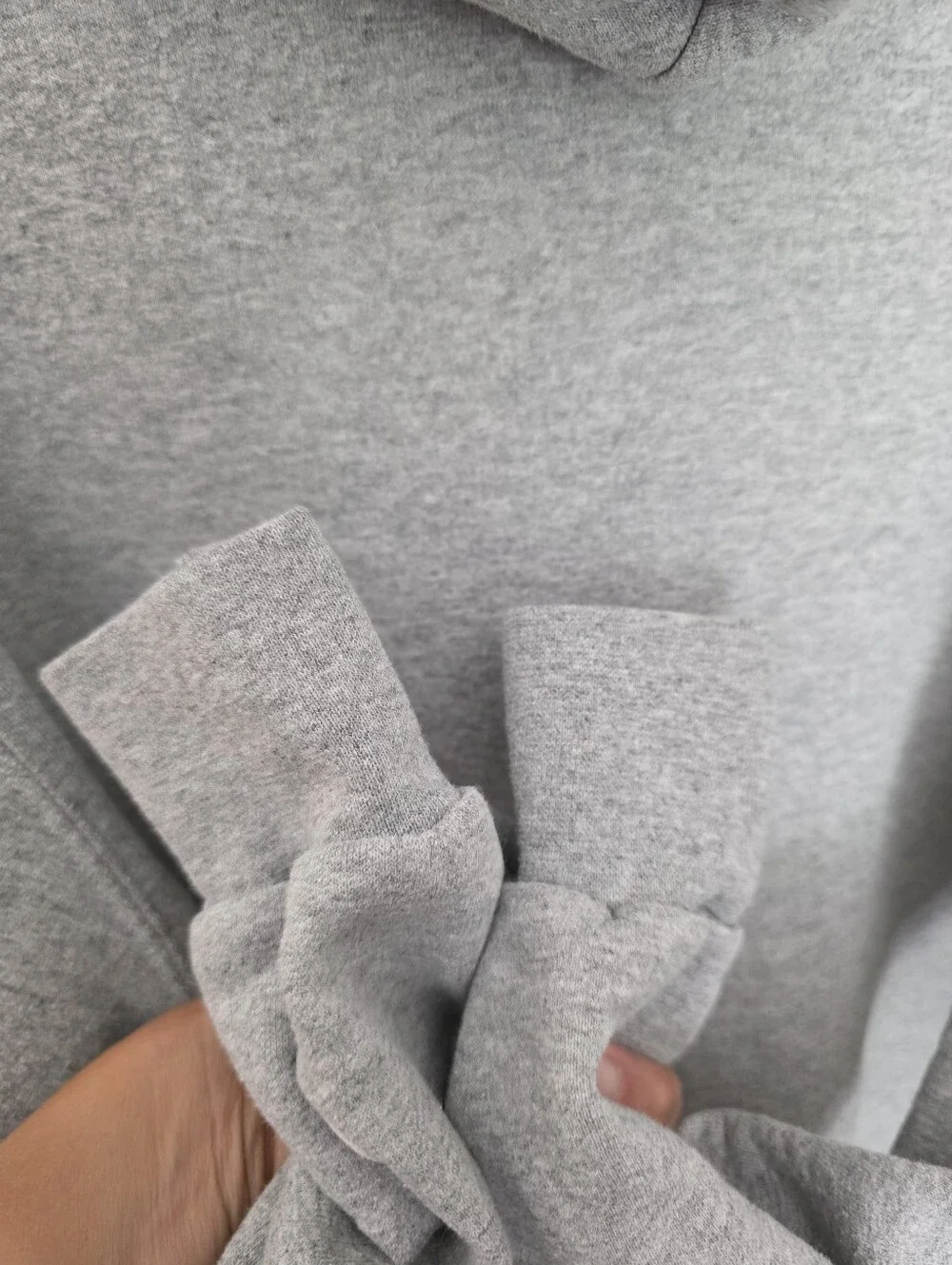 Champion University Of Washington Gray Hoodie